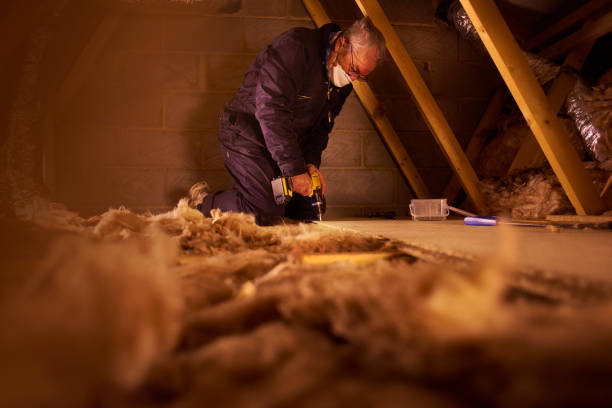 Types of Insulation We Offer in Geneva, OH